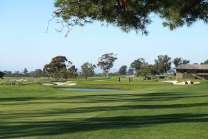 Torrey Pines (South) 18th Tree